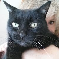 Stacey Dean Photo 33