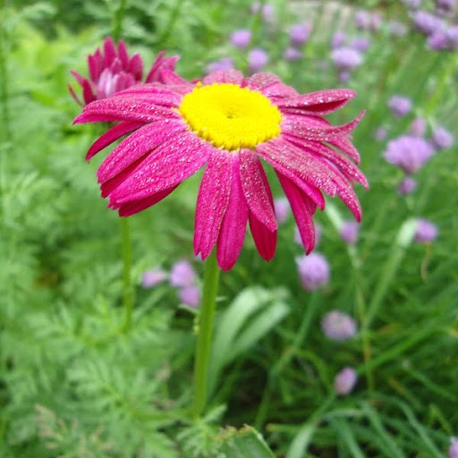 Kathy Madden Photo 19