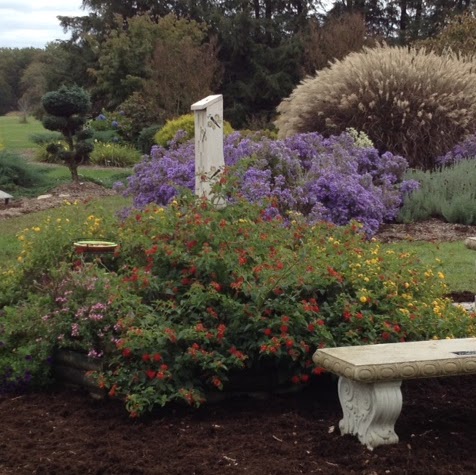 Nancy Christopherson Photo 8