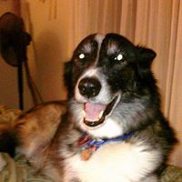 Jerry Monroe Photo 13