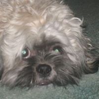 Nancy Larson Photo 15