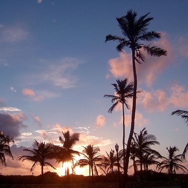 Robert Dennison Photo 27