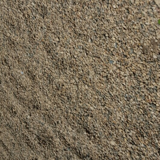 Catherine Mclean Photo 35