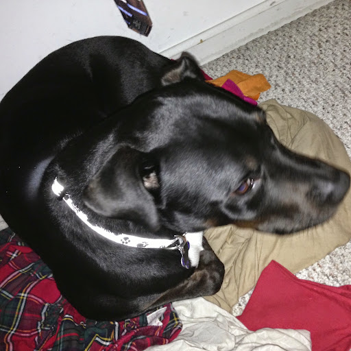 Timothy Fitzpatrick Photo 15