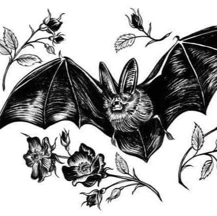 Stacie Oliver Photo 15