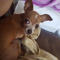 Nanette Fisher Photo 7