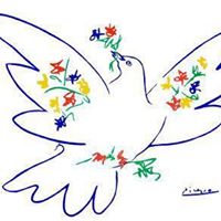 Teresa Baeza Photo 10