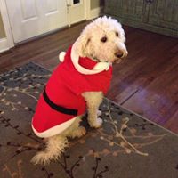 Teresa Rinehart Photo 19