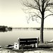Michelle Winters Photo 13