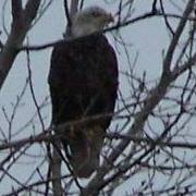 Terry Schultz Photo 15 Terry Schultz Photo 15