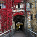 Anna Bullen Photo 8