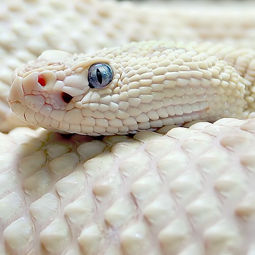 Troy Parsons Photo 13