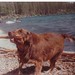 Brandy Lake Photo 21