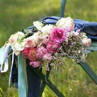 Lisa Guthrie Photo 47 Lisa Guthrie Photo 47