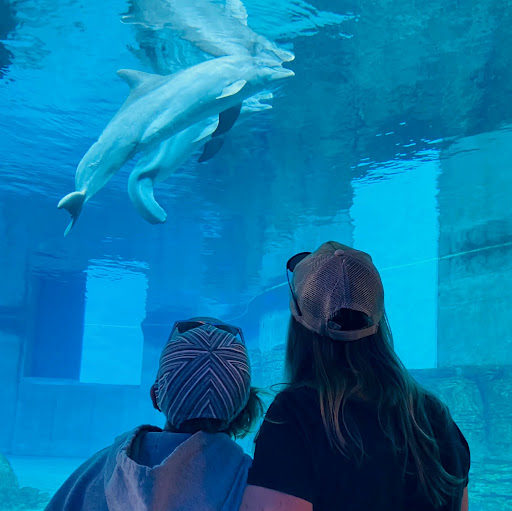 Julie Huber Photo 15