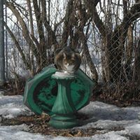 Donna Swenson Photo 16