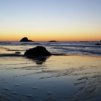 Steve Butcher Photo 14