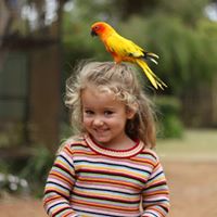 Alison Jenkins Photo 19
