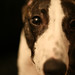 Donnie Winters Photo 21