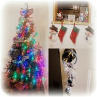 Dawn Vaughn Photo 12