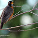 Robin Kirby Photo 37