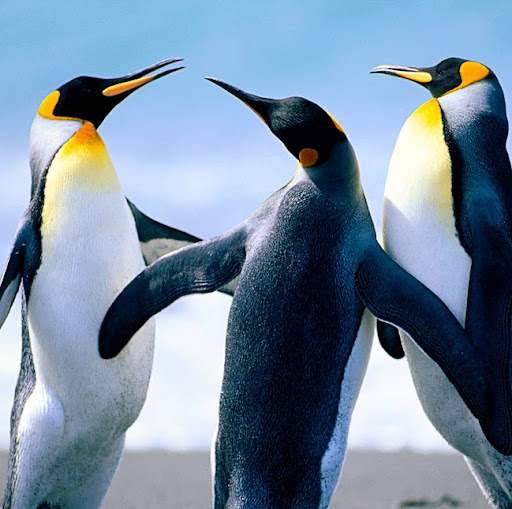 Julia Rosales Photo 11