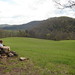 Sue Baxter Photo 13