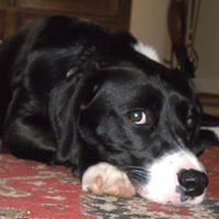 Sadie Erickson Photo 18