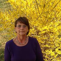 Nancy Wight Photo 7