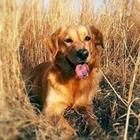 Sandra Lamb Photo 17