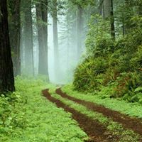 June Jackson Photo 10