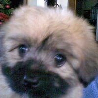 Sandy Johnson Photo 12
