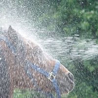 Brandon Shackelford Photo 22