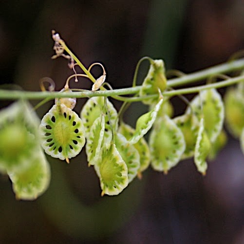 Kelly Brooks Photo 15