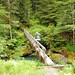 Deborah Bridge Photo 19