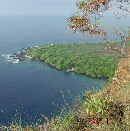 Timothy Davison Photo 16