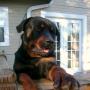 James Garris Photo 36