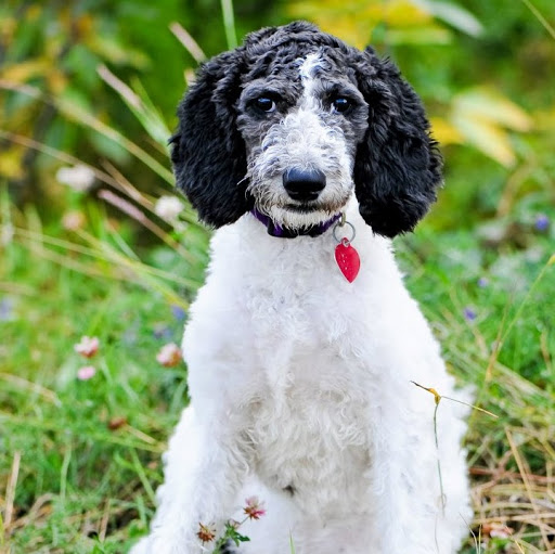 Theresa Lucas Photo 11