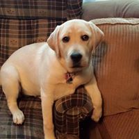 Henry Webber Photo 27 Henry Webber Photo 27