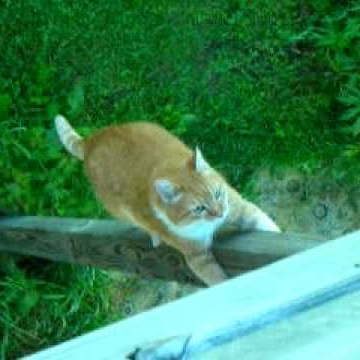 Richard Carlisle Photo 39