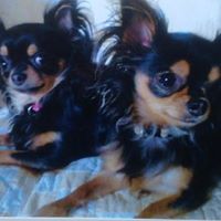 Cheryl Barclay Photo 15