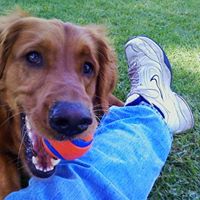 Dana Goldfarb Photo 9