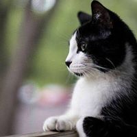 Carla Collins Photo 13