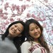 Cary Huang Photo 5
