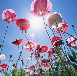 Sheryl Simpson Photo 8