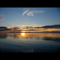 Stephen Tapp Photo 21