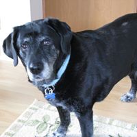 Sandy Stover Photo 14