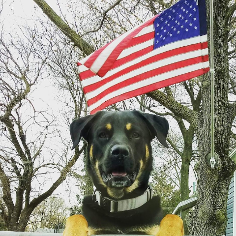 Daniel Walker Photo 39 Daniel Walker Photo 39