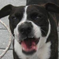 Mike Thacker Photo 18