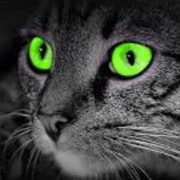 Pamela Gregory Photo 34